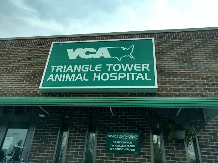 VCA Triangle Tower Animal Hospital Picture 3