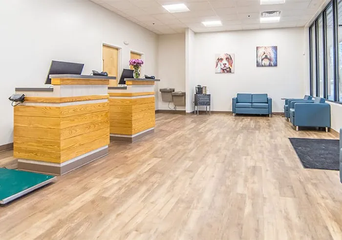 Oak Heart Veterinary Hospital at Longview Picture 2