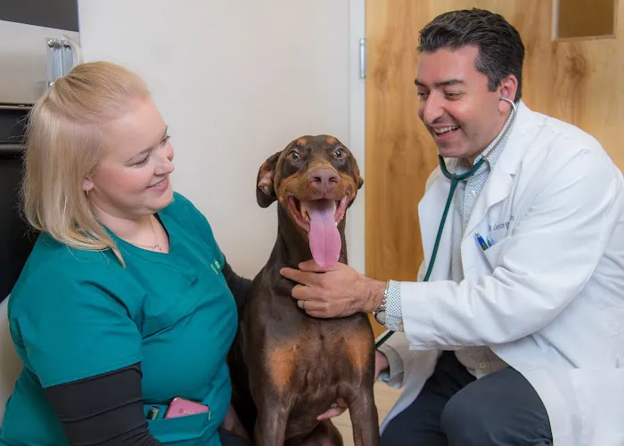 Oak Heart Veterinary Hospital at Dixie Trail Picture 2