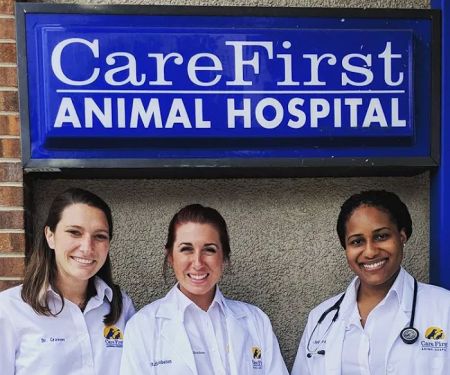 Care First Animal Hospital at Oberlin