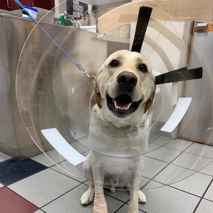 Care First Animal Hospital at Oberlin Picture 5
