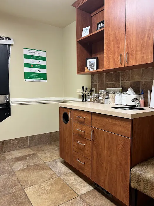 Hayes Barton Animal Hospital Picture 1