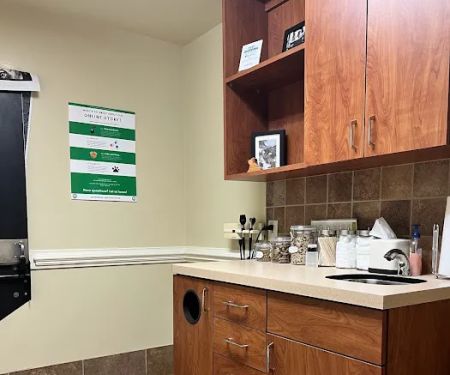 Hayes Barton Animal Hospital