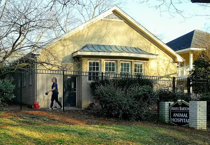 Hayes Barton Animal Hospital Picture 6