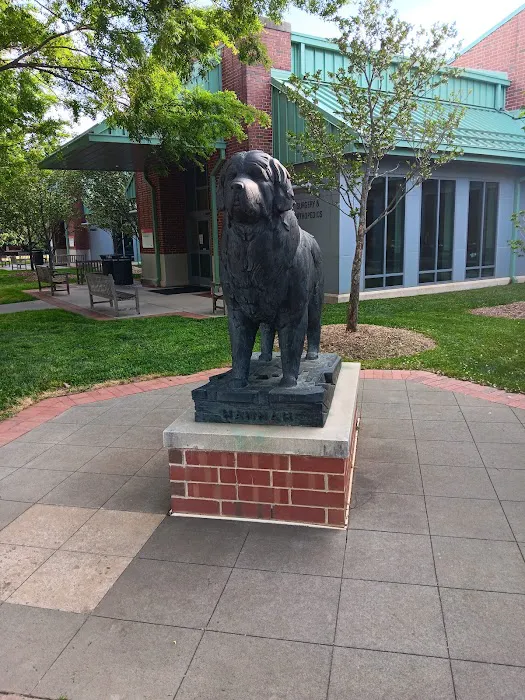 NCSU Veterinary Hospital Picture 2