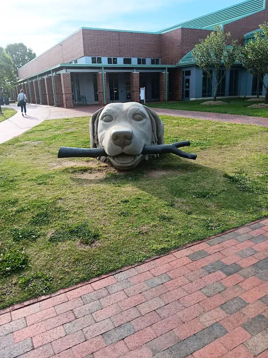 NCSU Veterinary Hospital Picture 4