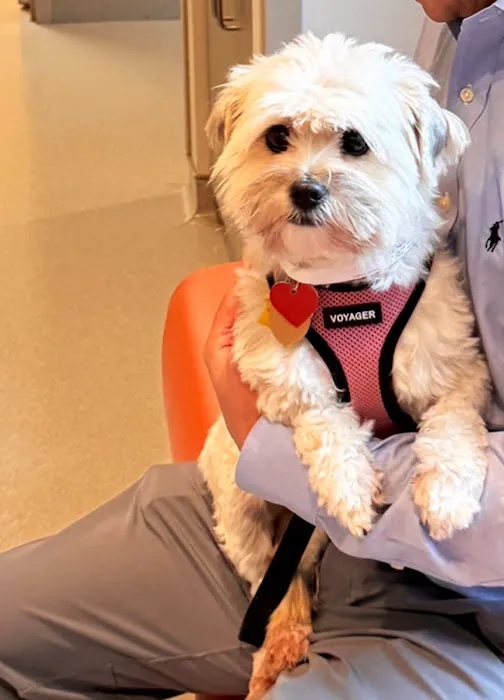 NCSU Veterinary Hospital Picture 1