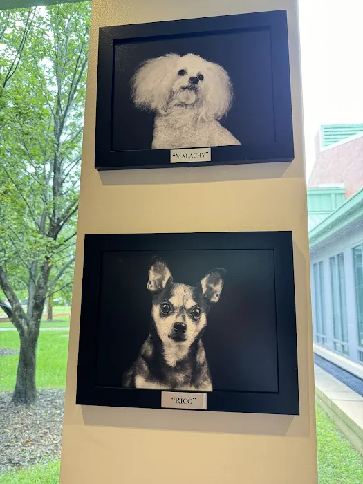 NCSU Veterinary Hospital Picture 5