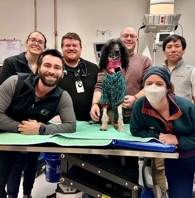 NCSU Emergency Services and Critical Care | Veterinary Hospital Picture 2