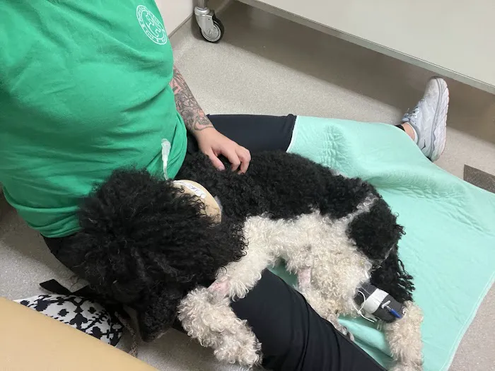 NCSU Emergency Services and Critical Care | Veterinary Hospital Picture 1