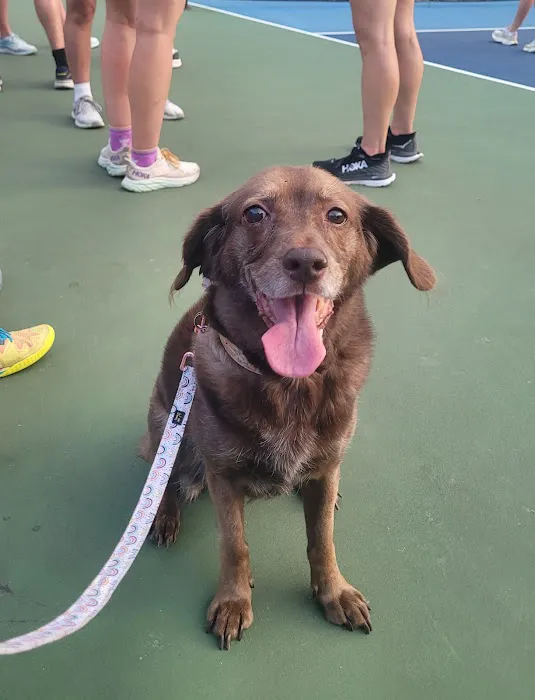 Small Animal Services: Emergency Picture 6