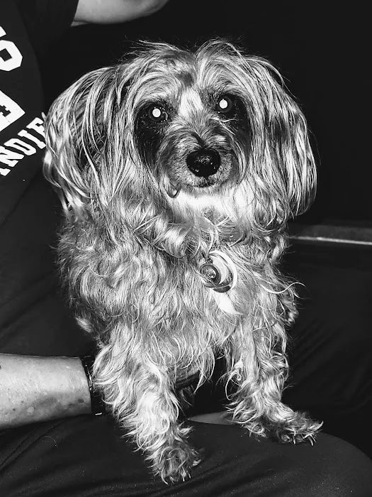 Vetco Total Care Animal Hospital Picture 9