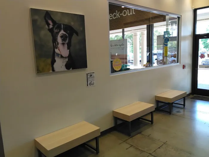Vetco Total Care Animal Hospital Picture 6