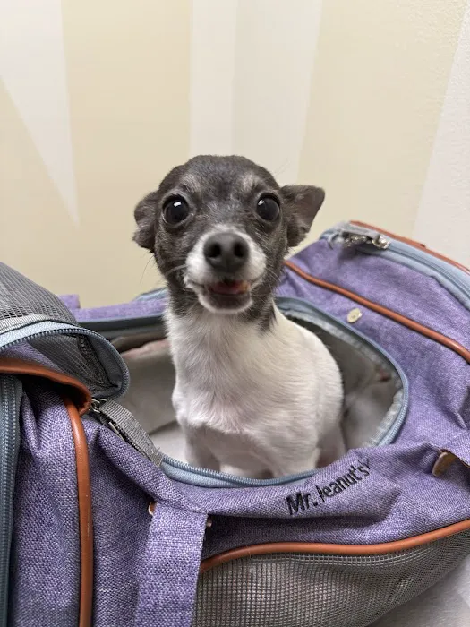 Vetco Total Care Animal Hospital Picture 1
