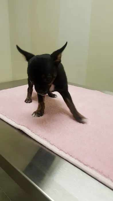 Vetco Total Care Animal Hospital Picture 2