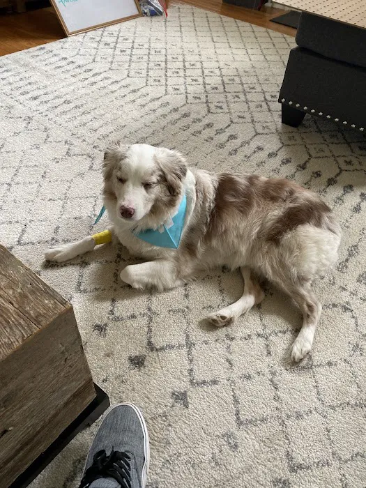 Banfield Pet Hospital Picture 1