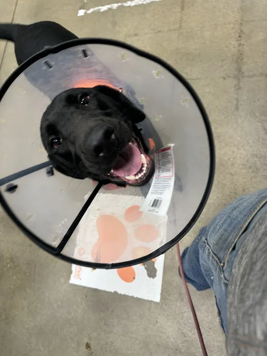 Banfield Pet Hospital Picture 8