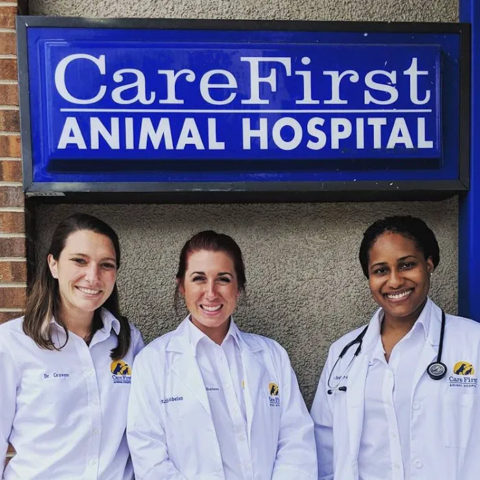 Care First Picture 5