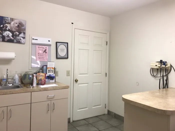 Crossroads Veterinary Hospital Picture 1