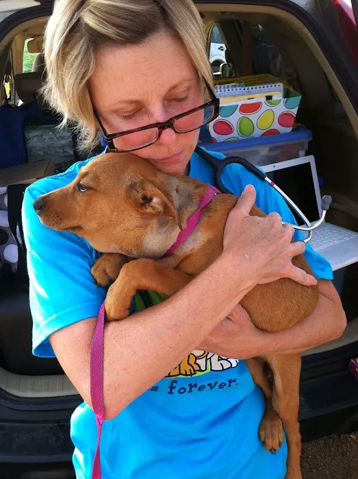 Vetmobile Picture 4