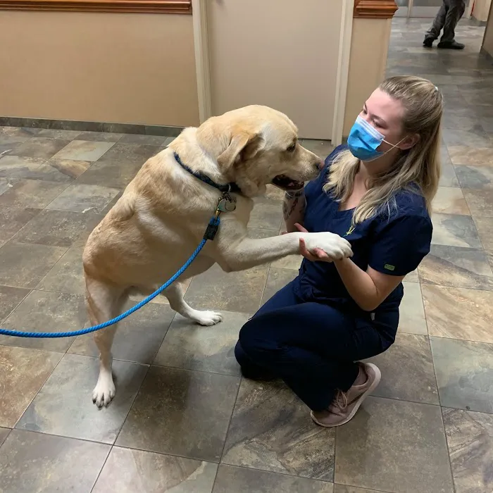 Town & Country Veterinary Hospital Picture 10