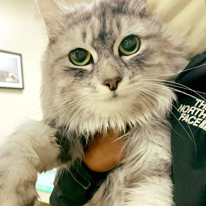 Town & Country Veterinary Hospital Picture 9
