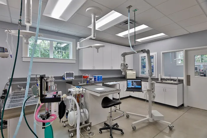 Lake Pine Animal Hospital Picture 1