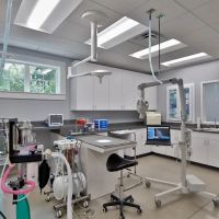 Lake Pine Animal Hospital ico