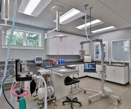 Lake Pine Animal Hospital