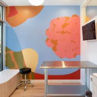 Petfolk Veterinary & Urgent Care - Cary ico