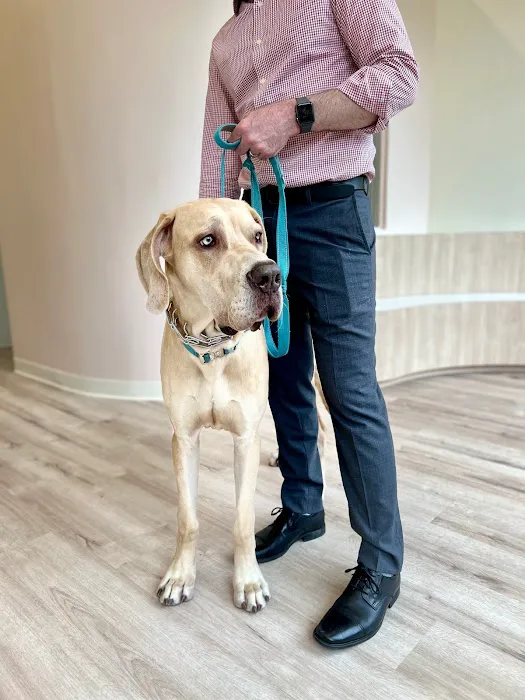 Petfolk Veterinary & Urgent Care - Cary Picture 4