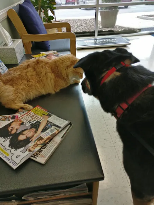PetSound Animal Hospital Picture 4