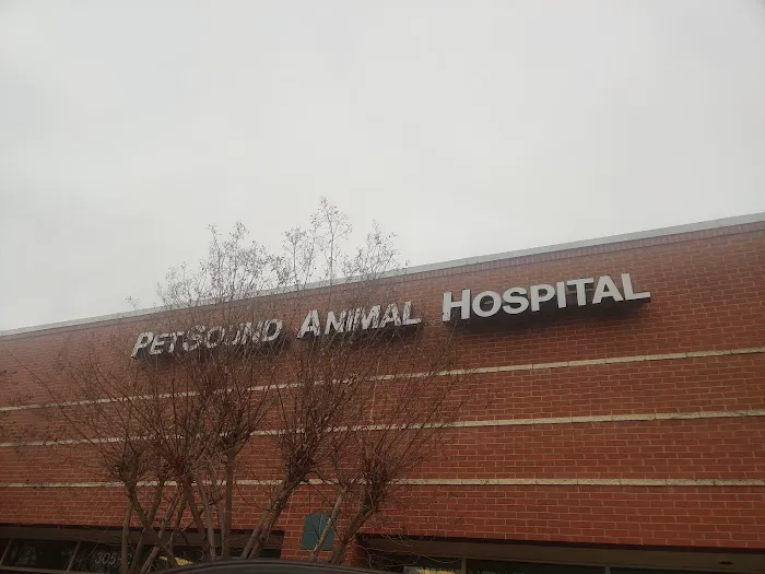 PetSound Animal Hospital Picture 3