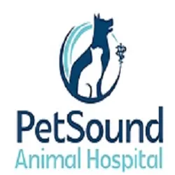 PetSound Animal Hospital Picture 2