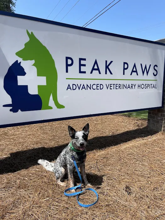 Peak Paws Advanced Veterinary Hospital Picture 2