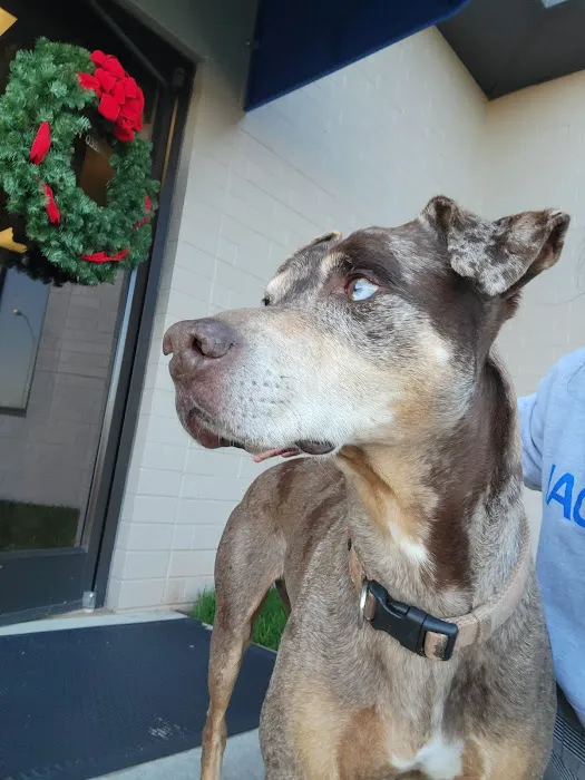 Banfield Pet Hospital Picture 1