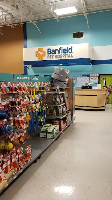 Banfield Pet Hospital Picture 2