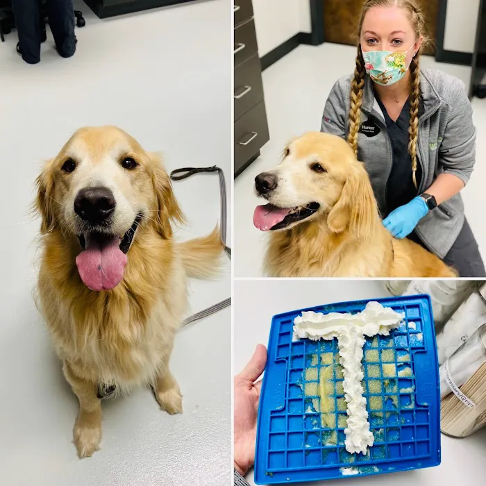 Happy Tails Veterinary Hospital Picture 6
