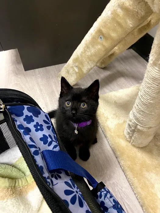 Happy Tails Veterinary Hospital Picture 1