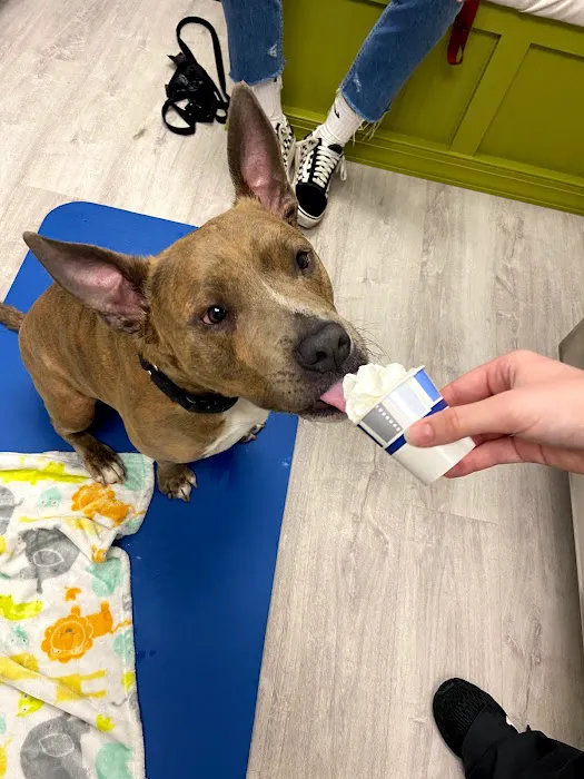 Happy Tails Veterinary Hospital Picture 2