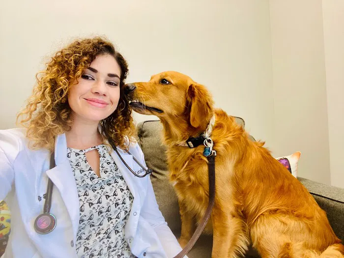 Happy Tails Veterinary Hospital Picture 9