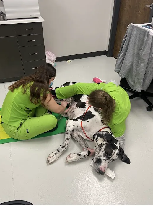 Happy Tails Veterinary Hospital Picture 10