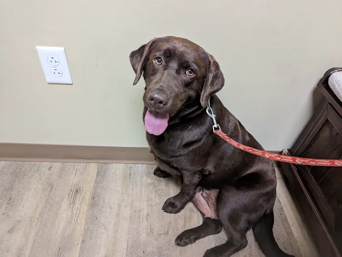 Peak City Veterinary Hospital Picture 4
