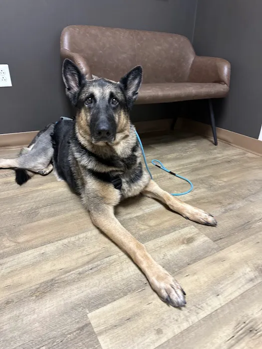 Peak City Veterinary Hospital Picture 6