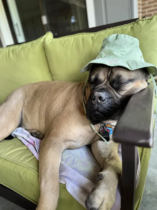 Peak City Veterinary Hospital Picture 9
