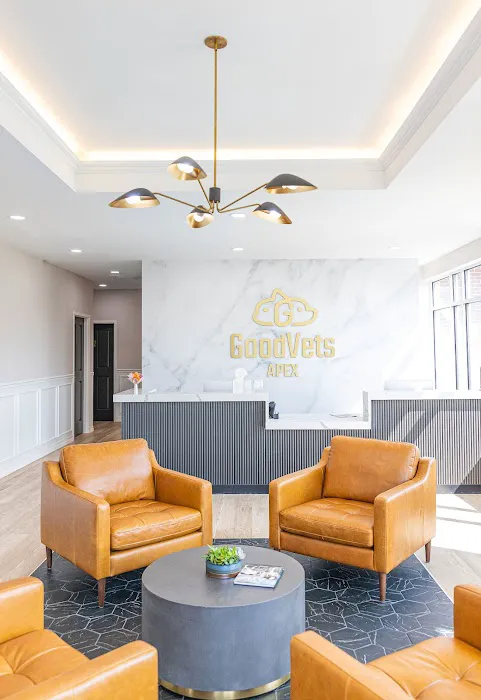 GoodVets Apex (Raleigh) Picture 7