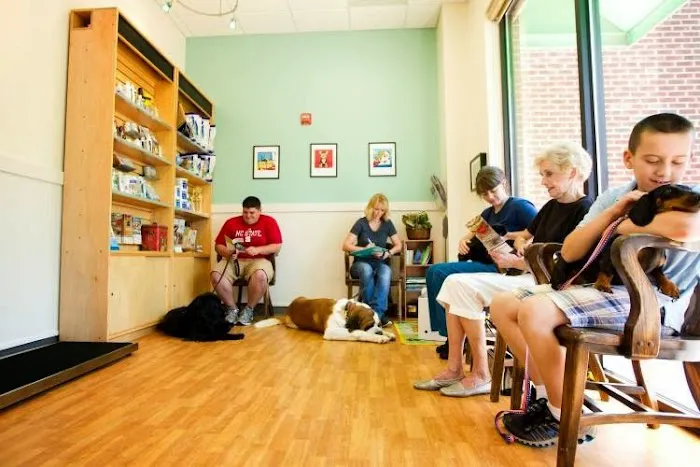 All 4 Paws Animal Hospital Picture 4
