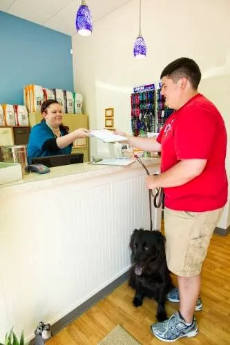 All 4 Paws Animal Hospital Picture 7