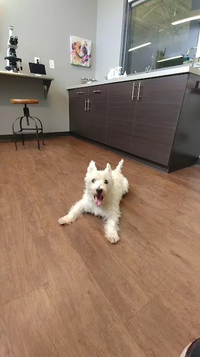 Oak Heart Veterinary Hospital at Person Street Picture 2