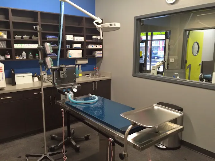 Oak Heart Veterinary Hospital at Person Street Picture 1